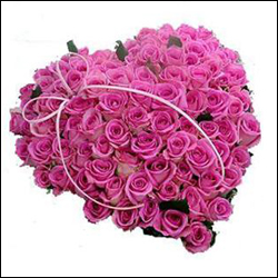 "Pillow (18 inches x 28 inches) - Code 15 - Click here to View more details about this Product